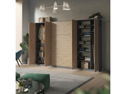 SMARTBETT cabinet wardrobe 100 cm 2 doors anthracite / wild oak
