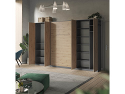 SMARTBETT cabinet wardrobe 100 cm 2 doors anthracite / wild oak
