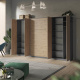 SMARTBETT cabinet wardrobe 100 cm 2 doors anthracite / wild oak