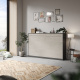 SMARTBett Folding wall bed Standard 120x200 Horizontal Anthracite/Beton look with Gas pressure Springs