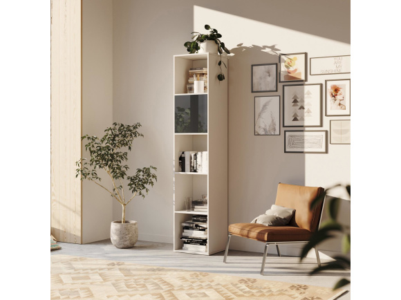 SMARTBett Regal + 1 Tür in verschiedenen Farben - Regal Weiss + 1 Tür Anthrazit Hochglanz
