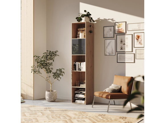 SMARTBett Shelf + 1 door in different colors - Shelf Wild Oak + 1 Door Anthracite High Gloss
