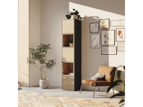 SMARTBett Regal + 3 Türen und 2 Würfel in verschiedenen Farben - Regal Anthrazit + 3 Türen und 2 Würfel Wildeiche