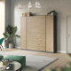 SMARTBett Wohnwand Set mit Schrankbett Standard 140x200 Vertikal + 2 x 50-Schränke in verschiedenen Farben