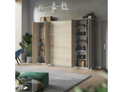SMARTBett Wohnwand Set mit Schrankbett Standard 140x200 Vertikal + 2 x 80-Schränke in verschiedenen Farben