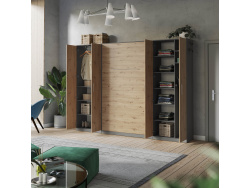 SMARTBett Wohnwand Set mit Schrankbett Standard 140x200 Vertikal + 2 x 80-Schränke in verschiedenen Farben