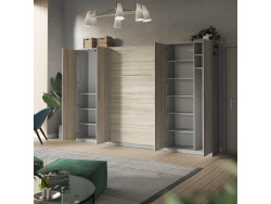 SMARTBett Wohnwand Set mit Schrankbett Standard 140x200 Vertikal + 2 x100-Schränke in verschiedenen Farben