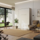 SMARTBett Murphy Bed Standard 120x200cm Vertical Concrete/White with Gas Springs