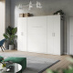 SMARTBett Schrank Kleiderschrank Aktenschrank 80cm 2-türig Weiß