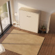 SMARTBett Murphy Bed 180x200 Vertical M3 Depth 55cm Pearlgrey with upholstered frame
