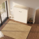 SMARTBett Murphy Bed 160x200 Vertical M3 Depth 55cm White without upholstered frame