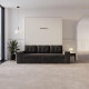 SMARTBett wall bed M3 180x200 (depth 55cm) vertical incl. 2 x LED shelves STA.2.0021 white incl. sofa anthracite with Armrests 26 cm width