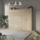 SMARTBett wall unit set with wall bed standard 160x200 vertical + 100 closet in different colors