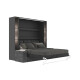 SMARTBett SET Murphy bed M3 160x200 (depth 55cm) vertical incl. 2 x LED shelves STA.2.0021 anthracite incl. sofa anthracite Armrests 26 cm with storage space
