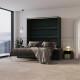 SMARTBett SET Murphy bed M3 140x200 (depth 55cm) vertical + 2x LED shelves STA.2.0021 STONE GREEN incl. sofa anthracite Armrests 26 cm